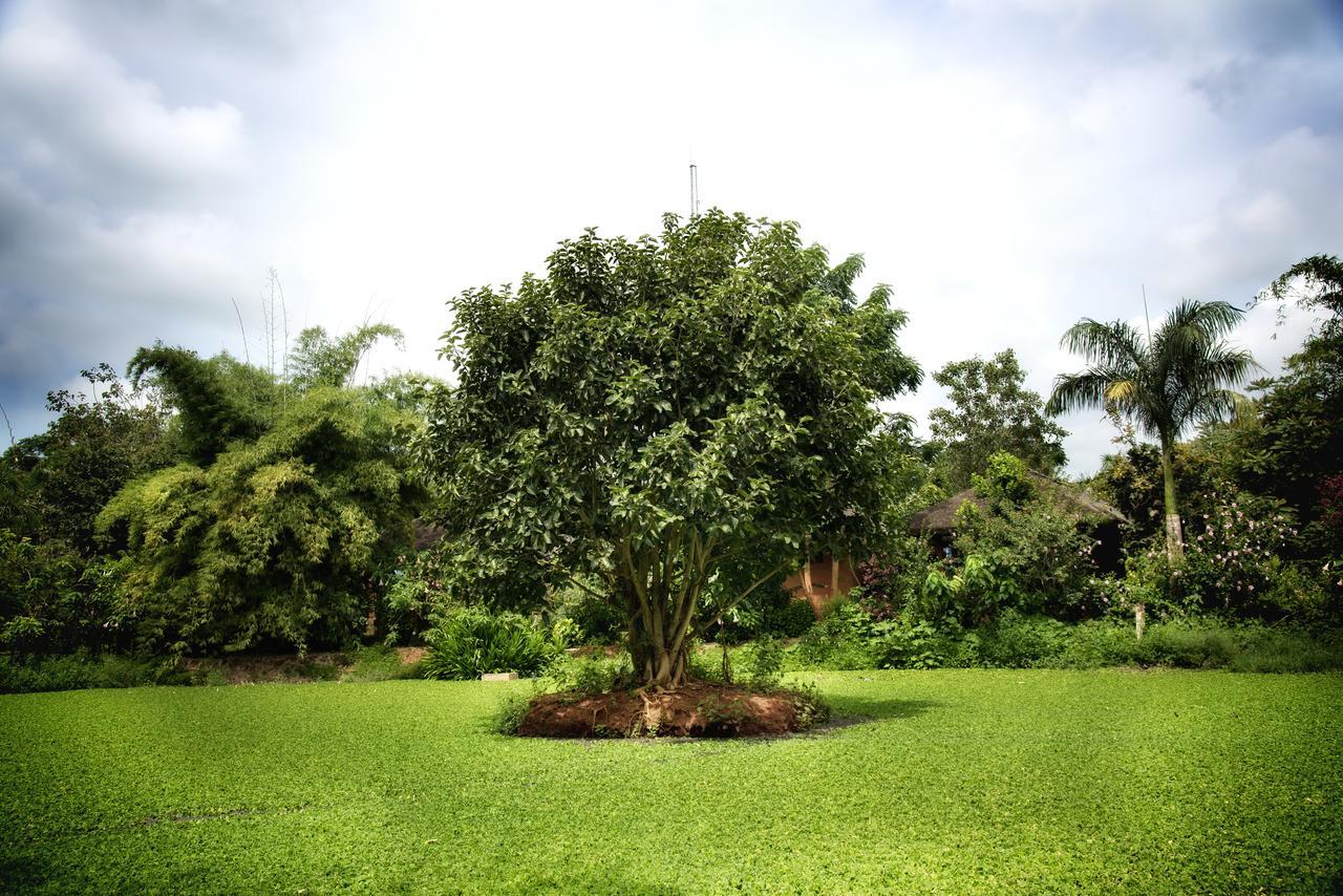 Red Earth Kabini Hotel Begur Exterior photo